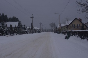 Orle Zima