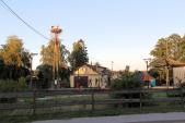 Orle 2016  / zdj.WG