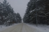 Orle Zima