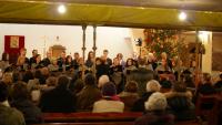 Cantores Veiherovienses (Luty 2013)