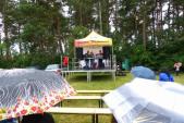 Festyn (czerwiec 2013)