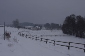 Orle Zima