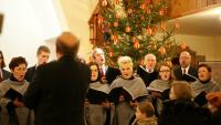 Cantores Veiherovienses (Luty 2013)