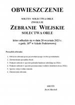 Zebranie wiejskie