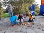 Festyn zakończenie lata i festiwal smaków