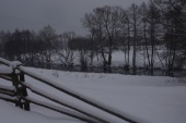 Orle Zima